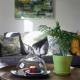 Andelin Guest House, Auckland - Photo 10