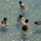 Camping PINUS, Starigrad-Paklenica (photo 7)
