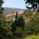 Torre del Drago, Borgo alla Collina (фото 8)