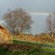 Glendalough Glamping - Adults Only, Laragh (Foto 9)