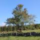 Glendalough Glamping - Adults Only, Laragh (Foto 10)