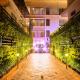 Hotel Neighbourhood, Cochin, Kochi - Foto 1