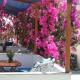 Doron Hotel Delfini, Naxos Chora