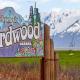 Darwin's Girdwood - Fotografie 8