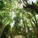 LIDO FORESTRY SPA RESORT, Yangmei (foto 6)