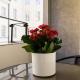 Old Town Grand Theatre Apartment 2, Warschau - Foto 7