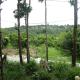 Coconutbeach Bungalows, Koh Rong (Foto 4)