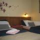 Apartment Medo, Ravna Gora (photo 8)