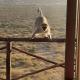 Lentswe Lodge, Serowe (fotografie 3)