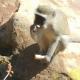 Lentswe Lodge, Serowe (fotografie 10)
