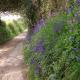 The Home Barn at Cornish Barn Holidays, Perranwell (fotografie 3)