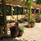 The Carpenters Arms, Tonbridge (fotografie 3)
