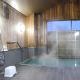 Hakuba Panorama Hotel, Хакуба (фото 3)