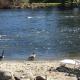 River's Edge Lodge, Leavenworth (fotografie 4)