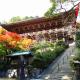 ONE HOSTEL Himeji ワンホステル姫路, Himeji (photo 6)