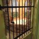 Destinations Inn Theme Rooms, Idaho Falls (fotografie 9)