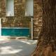 The Neem Tree, Udajpur - Fotografie 5