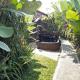 Nataliya Homestay Ubud - Photo 1