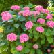 Bed and Breakfast Hoorn, Hoorn (foto 4)