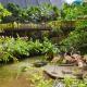 Tropical Islands, Krausnick - Foto 5