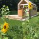 refugium am see, Seeboden (foto 6)
