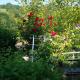 Fewo Zum alten Bergdoktor, Bad Liebenstein - Foto 9