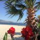 Luxury Holiday in Royal Apartment for King and Queen, Saranda (foto 3)