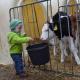 Ferienhof Schricker, Marktleuthen - 写真 5