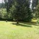 Schwarzwald - Villa Appartments Titisee, 蒂蒂湖-新城 - 照片 7