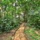 Serenada Eco Resort, Mukono (zdjęcie 4)