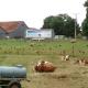 Ferienwohnung auf dem Lechsberg, Fuchstal - Foto 7