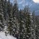 Pension Edelweiss Top21, Gosau (fotografie 6)