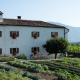 Majerija, Vipava (photo 2)