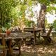 PietrAnticA, Trentinara (fotografie 8)