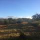 Amboseli Eco Camp, Amboseli - Foto 3