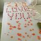 CH-Hotel Luka, Vienne - Photo 10