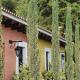 Villas Catalina, Antigua Guatemala - Foto 5
