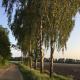 B&B Op 't Eikenschoor, Soerendonk (foto 8)