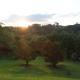 Recanto Pôr do Sol, Campo Limpo - Fotografie 10