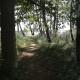 Glamping Podgrodzie, Nowe Warpno (fotografie 9)