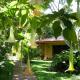 Tacacori EcoLodge, Alajuela City (photo 7)