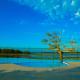Lake Villa Resort, Tissamaharama (photo 10)