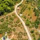 The Olive Tree Villa, Sumartin (photo 5)
