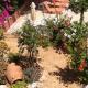 Marigianna, Gouves (Foto 4)