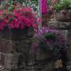 Le Petit Chateau, Noyal-Pontivy (Foto 6)