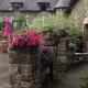 Le Petit Chateau, Noyal-Pontivy (Foto 2)