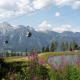 Erlys Cityhotel, Schladming (foto 7)