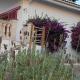 Finca Sa Cova de Mallorca, Sencelles (fotografie 8)