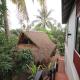 Green Life Cottage, Siem Reap (fotografie 5)