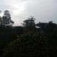 Thilini homestay, Ella (foto 6)